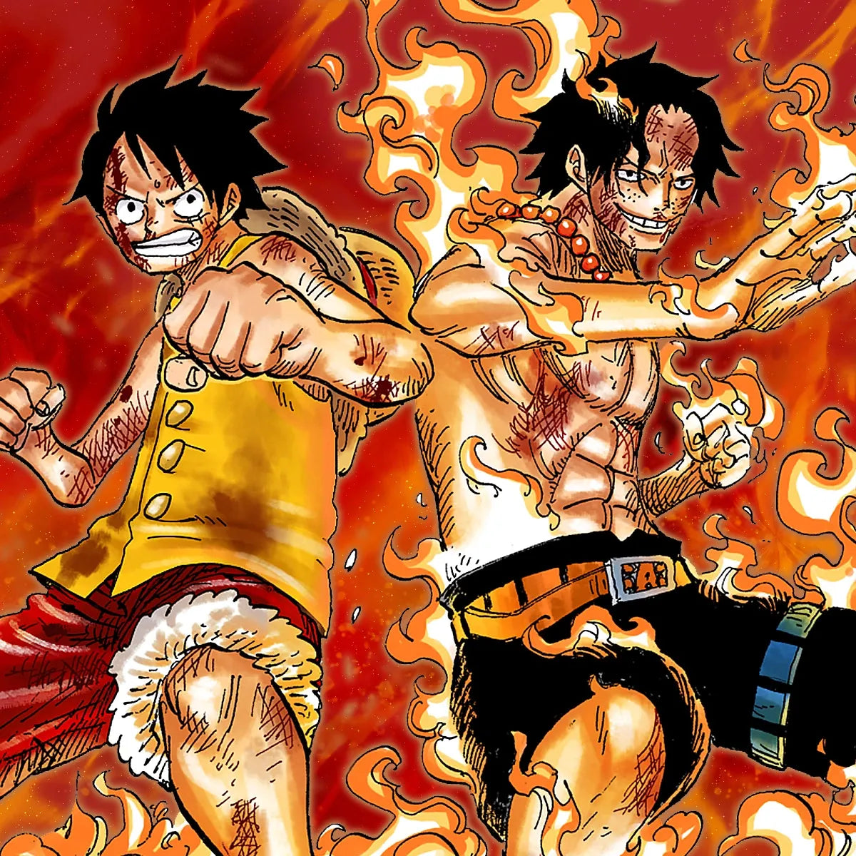 Starter Deck EX: Luffy & Ace Set Icon