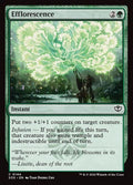 144-efflorescence