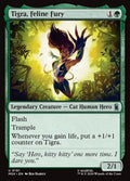 191-tigrafelinefury