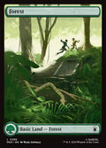 285-forest