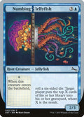 42-numbingjellyfish