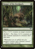 dka-119-hungerofthehowlpack